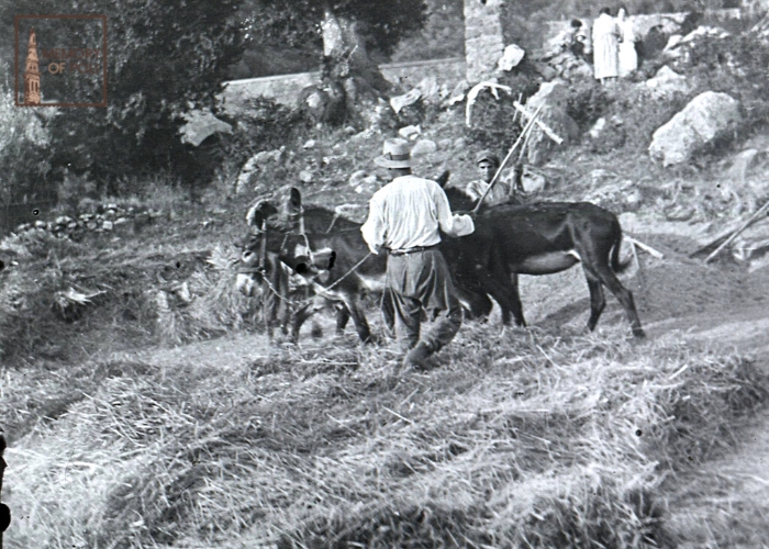Archivio Famiglia Doddi