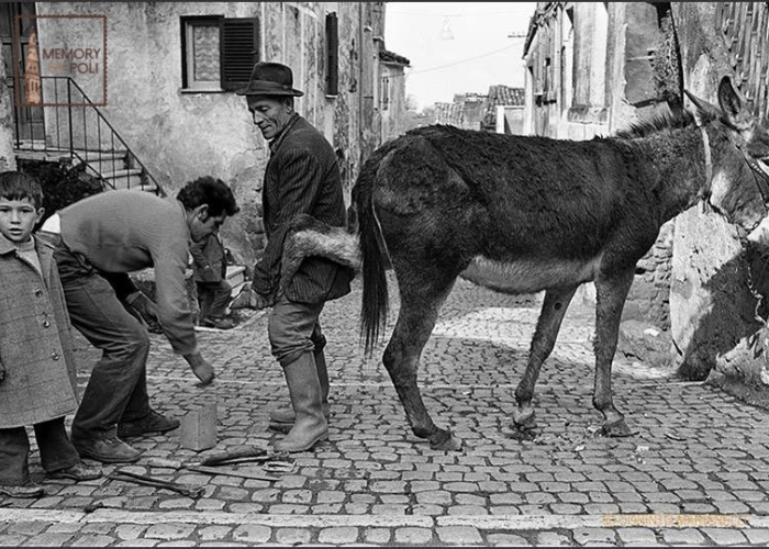 Archivio Famiglia Corinto