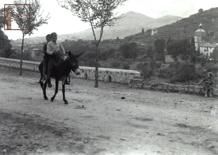 Archivio Famiglia Doddi