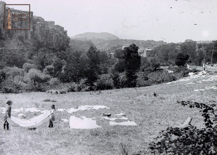 Archivio Famiglia Doddi
